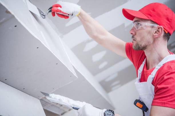 Professional Drywall & Painting Services in Naples Park, FL